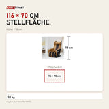 Maßbild NAIPO Model U ClassicSwing 1900 Massagesessel: Stellfläche 116 × 70 cm, Höhe 118 cm