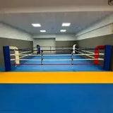 SportCom Bodenanker-Boxring mit Stahlpfosten auf blau-gelbem Hallenboden, Frontansicht