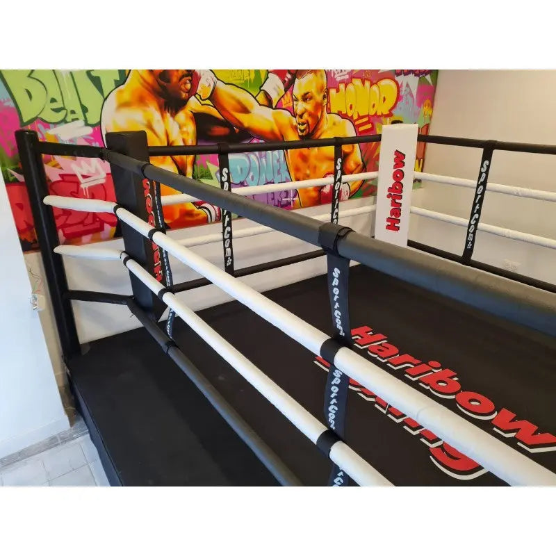 SportCom Boxring-Individualisierung: Ring mit weißen Seilen und bedruckter Schürze vor bunter Wandgestaltung