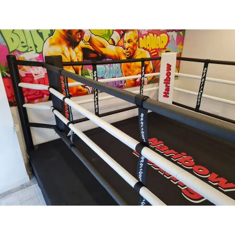SportCom Boxring-Individualisierung: Ring mit weißen Seilen und bedruckter Schürze vor bunter Wandgestaltung