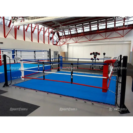 SportCom Ecofix Bodenmontage-Boxring mit Spannseilen, in einer Sporthalle mit rotem Dachgebälk, zwei Ringe