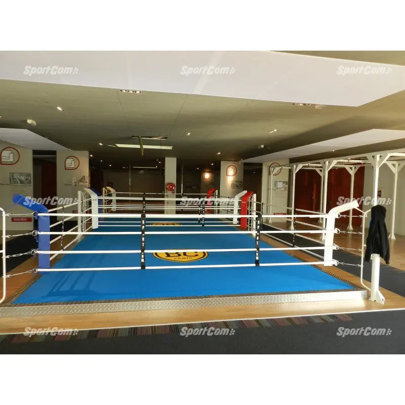 SportCom Ecofix Doppel-Boxring mit Aluminiumrand, in einem Club mit blauem Boden und Logo in der Mitte