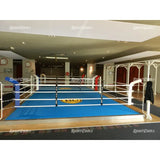 SportCom Ecofix Doppel-Boxring mit Aluminiumrand, in einem Club mit blauem Boden und Logo in der Mitte