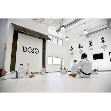 SportCom Flexi-Roll Ringermatte von Dollamur, weiße Fläche in einem Dojo, Personen im Kampfanzug