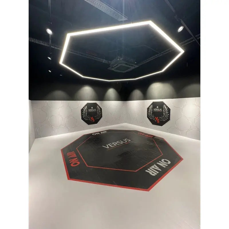 SportCom Flexi-Wall Wandschutz von Dollamur in Hellgrau um Achteckfläche unter Lichtring