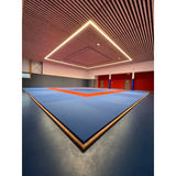 SportCom Judo-Tatami Reisstroh 2 × 1 m, 5 cm, glatte Unterseite, blaue Fläche mit rotem Rahmen unter einer Holzlamellendecke