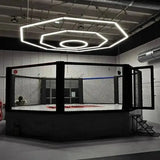 SportCom MMA-Käfig Oktagon mit Podium, unter Oktagon-Deckenleuchte im Studio