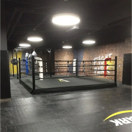 SportCom Pro-Trainingsboxring mit 30 cm Podium, in einem Gym mit Backsteinwand und Rundleuchte