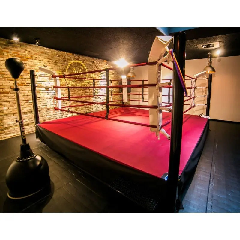 SportCom Pro-Trainingsboxring mit 50 cm Podium, mit pinkem Boden vor Backsteinwand und Punchingball
