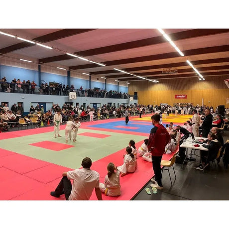 SportCom Puzzlematten 4 cm als grün-rote Wettkampffläche bei einem Judo-Turnier in der Halle