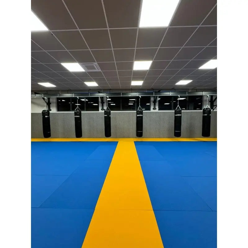 SportCom Wandmontierte Schiene für Sandsäcke, in der Mattenhalle mit gelbem Mattenstreifen, frontal