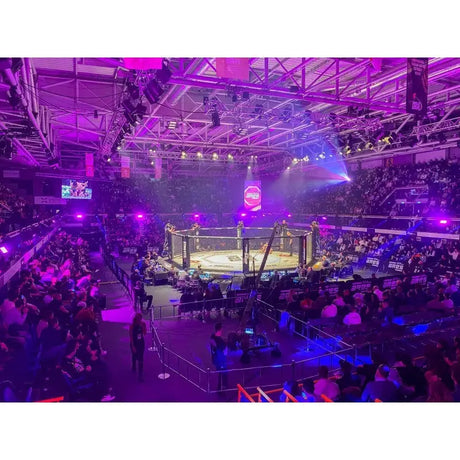 SportCom Wettkampf-MMA-Käfig Performance Oktagon, in violett beleuchteter Halle, Blick von der Tribüne