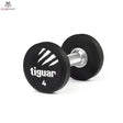 tiguar PU dumbbell 4kg