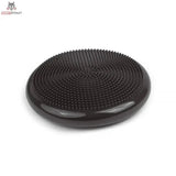 tiguar air disc (graphite)