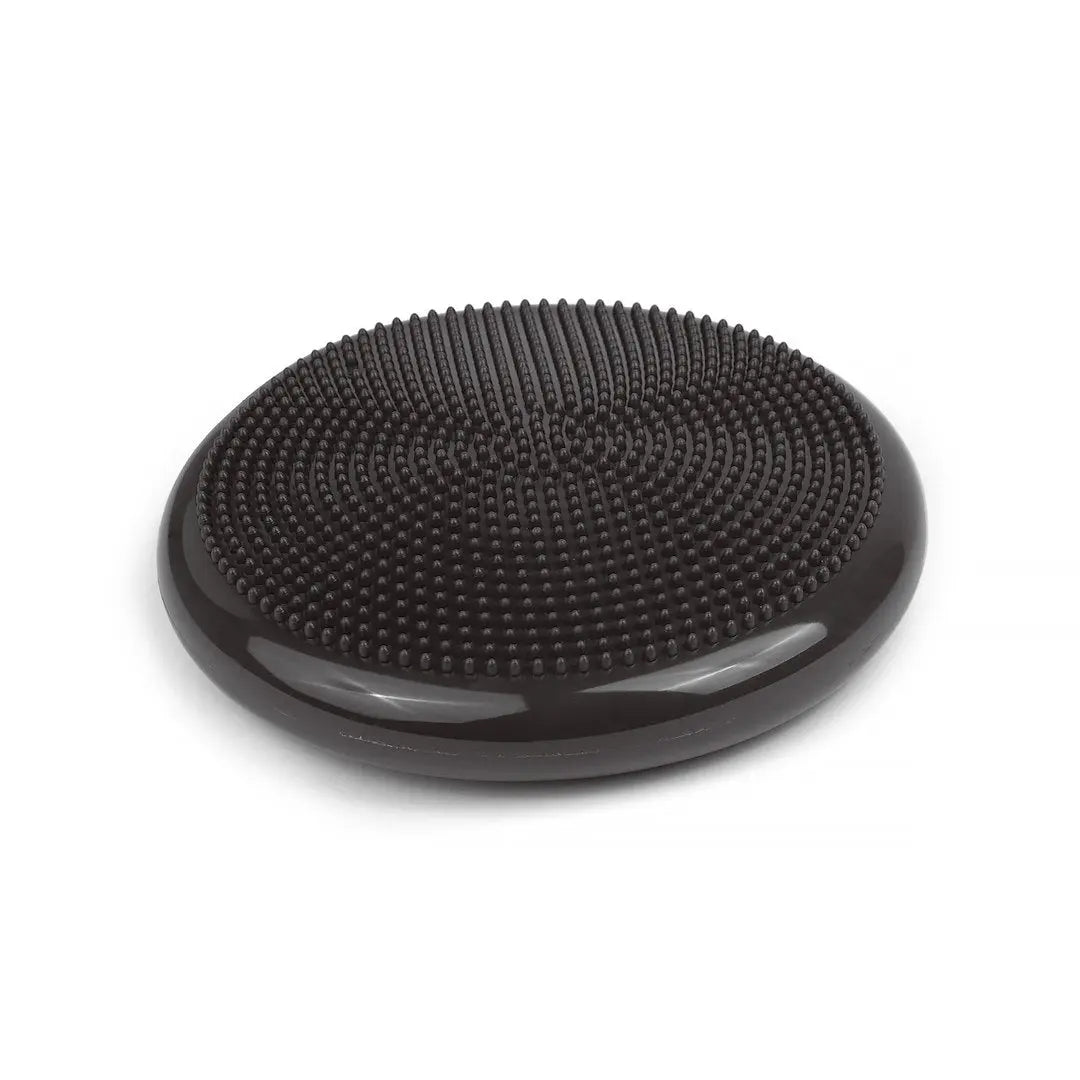 tiguar air disc (graphite)