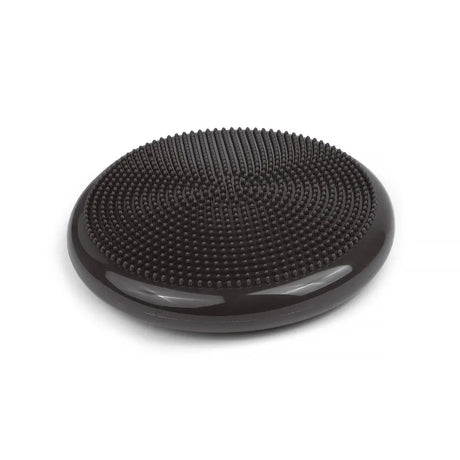 tiguar air disc (graphite)