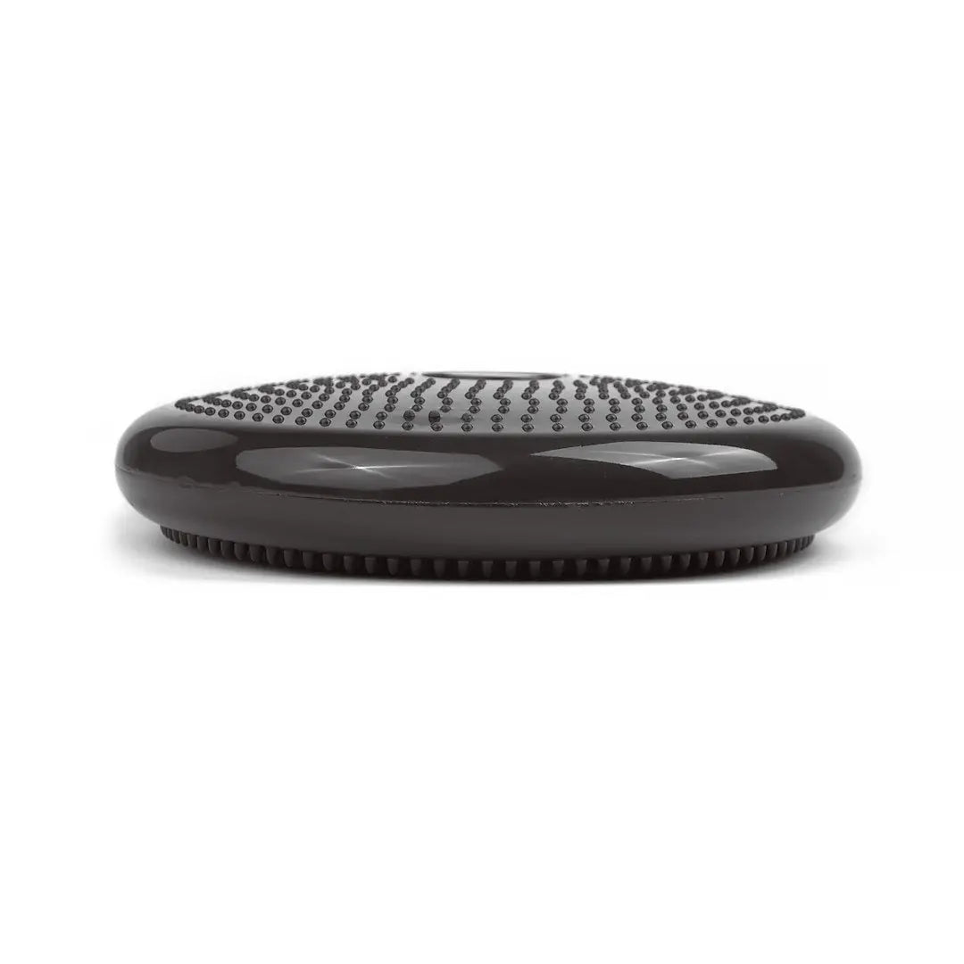 tiguar air disc (graphite)