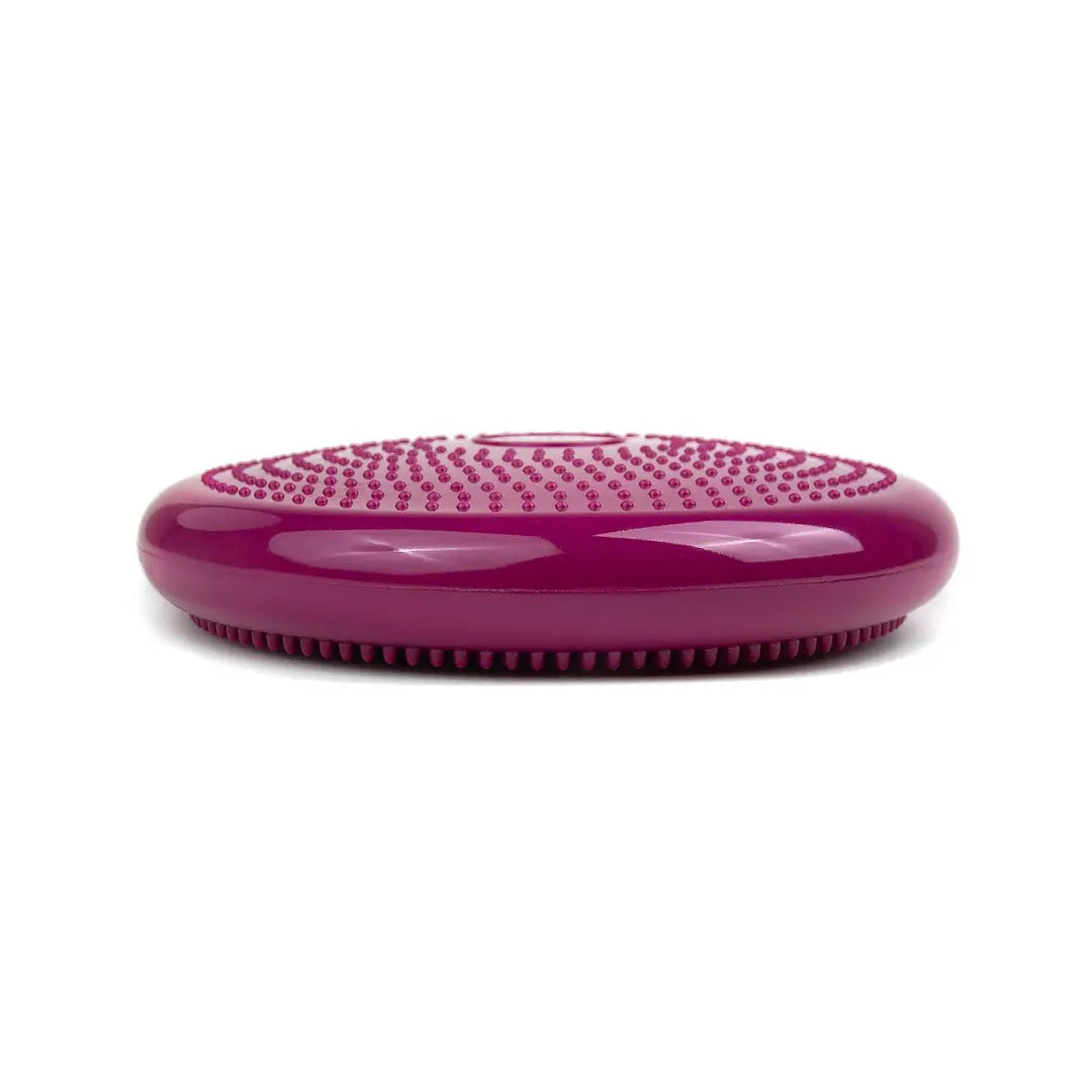 tiguar air disc (purple)