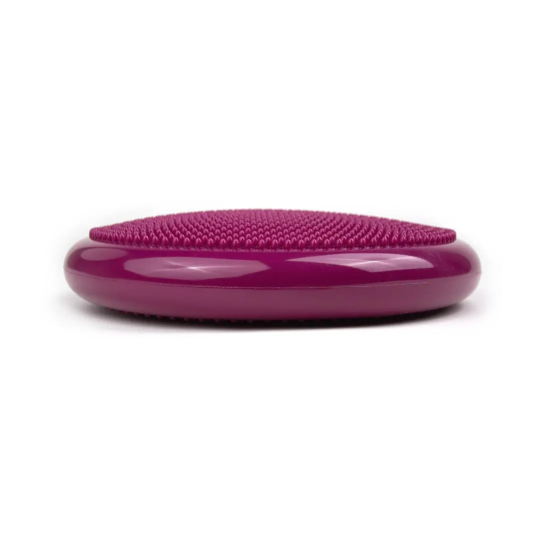 tiguar air disc (purple)