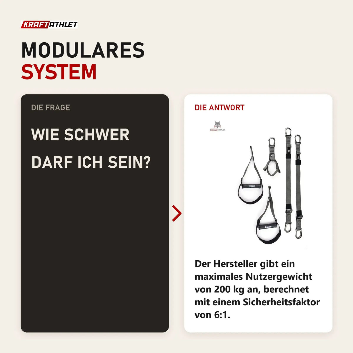 Frage und Antwort zu tiguar Alfa PRO Schlingentrainer modular: Wie schwer darf ich sein?