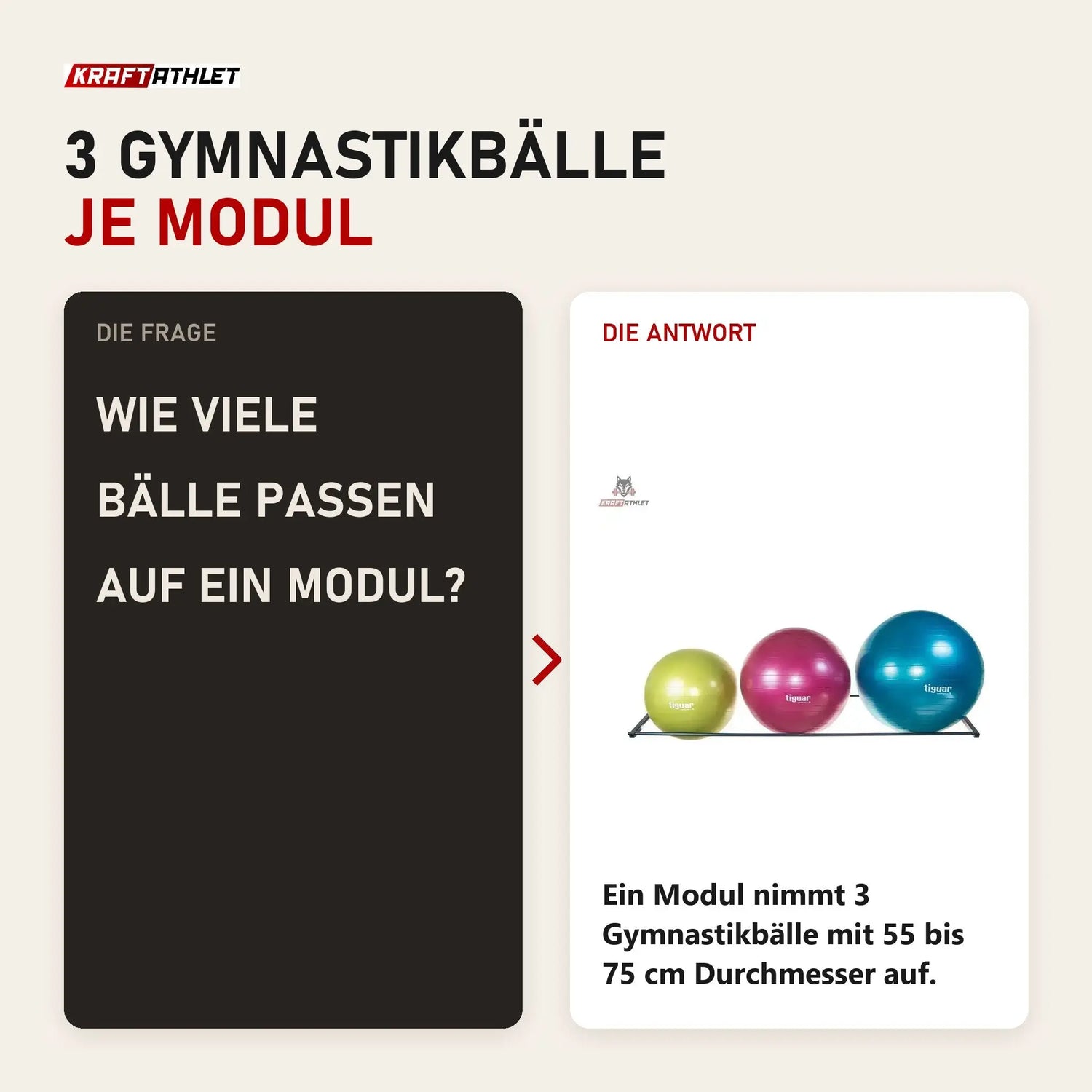 Frage und Antwort zu tiguar Ballhalter Wandmontage: Wie viele Bälle passen auf ein Modul?