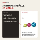 Frage und Antwort zu tiguar Ballhalter Wandmontage: Wie viele Bälle passen auf ein Modul?