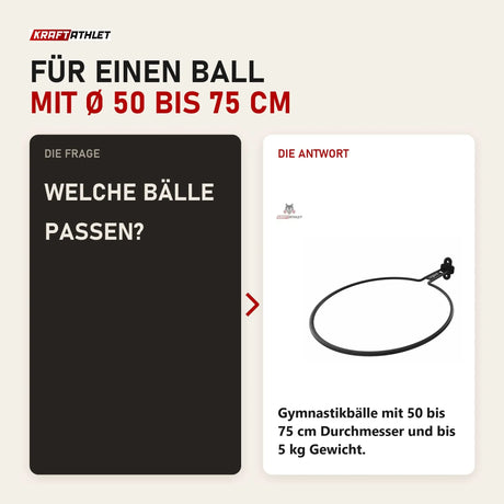 Frage und Antwort zu tiguar Bodyball-Halter: Welche Bälle passen?