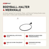 tiguar Bodyball-Halter mit 4 Merkmalen: Für einen Ball mit Ø 50 bis 75 cm, Montage an Wand oder stabilem Gestell, Ring aus 10-mm-Stahldraht, Ergonomischer Ring