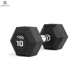 tiguar dumbbell HEX 10 kg