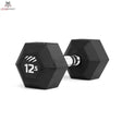 tiguar dumbbell HEX 12,5 kg