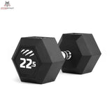 tiguar dumbbell HEX 22,5 kg