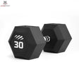 tiguar dumbbell HEX 30 kg