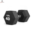 tiguar dumbbell HEX 40 kg