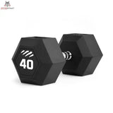 tiguar dumbbell HEX 40 kg