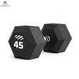 tiguar dumbbell HEX 45 kg