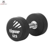 tiguar dumbbell PU 12,5 kg