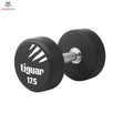 tiguar dumbbell PU 17,5 kg