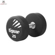 tiguar dumbbell PU 25 kg
