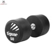tiguar dumbbell PU 50 kg