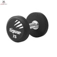 tiguar dumbbell PU 7,5 kg