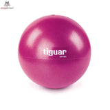 tiguar easyball (purple)