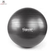 tiguar safety plus ball 65 cm (graphite)