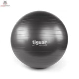 tiguar safety plus ball 65 cm (graphite)