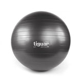 tiguar safety plus ball 65 cm (graphite)