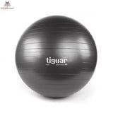 tiguar Safety Plus Ball 65 cm Lila Gymnastikball, Farbvariante Grau in der Frontansicht