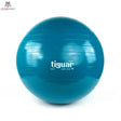 tiguar safety plus ball 75 cm (marine)