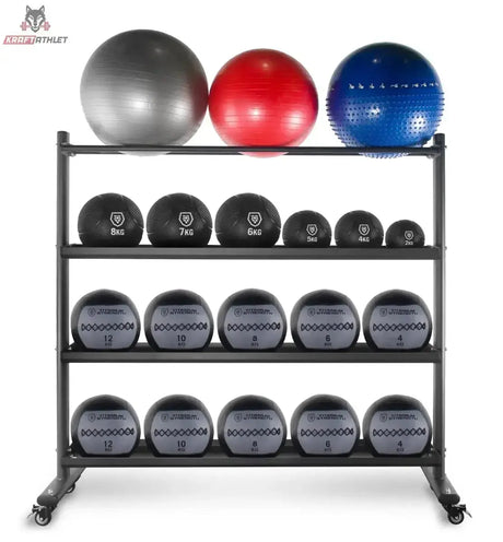 Titanium Strength Ballaufbewahrungs-Rack für Medicine, Wall, Slam und Fitballs: befüllt mit Medizin-, Slam- und Fitbällen, Frontansicht