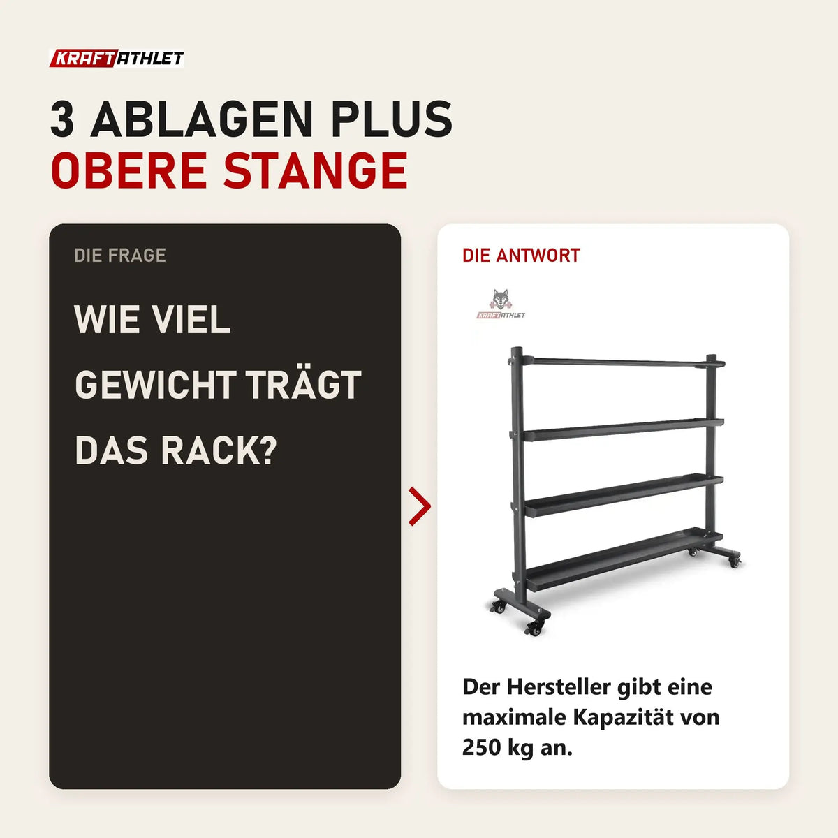 Frage und Antwort zu Titanium Strength Ballaufbewahrungs-Rack für Medicine, Wall, Slam und Fitballs: Wie viel Gewicht trägt das Rack?