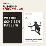 Frage und Antwort zu Titanium Strength Black Series IsoLateral Incline Pec Fly Butterfly: Welche Scheiben passen?