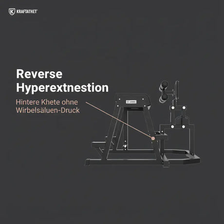 Titanium Strength Elite Series 2-in-1 GHD & Reverse Hyperextension als Infografik mit markierter Reverse-Hyperextension-Station